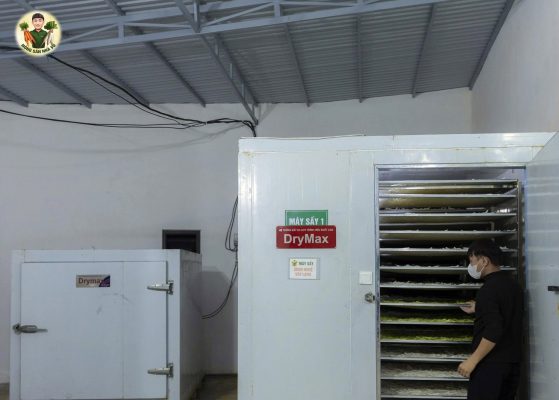 Rau Củ Sấy Có Giữ Được Dinh Dưỡng Không? Sự Thật Người Tiêu Dùng Cần Biết Rau Củ Sấy