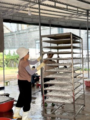 Quy Trình Sơ Chế Củ Cải Tại Nông Sản Nhà Vũ Quy trình