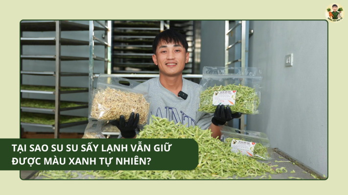 Tại Sao Su Su Sấy Lạnh Vẫn Giữ Được Màu Xanh Tự Nhiên? Tại Sao Su Su Sấy Lạnh Vẫn Giữ Được Màu Xanh Tự Nhiên?