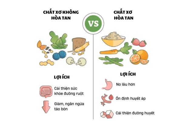 Lợi ích của cà rốt sấy khô 4