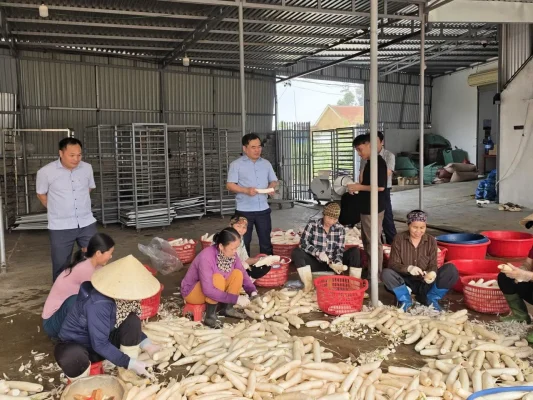Lợi ích của cà rốt sấy khô 8
