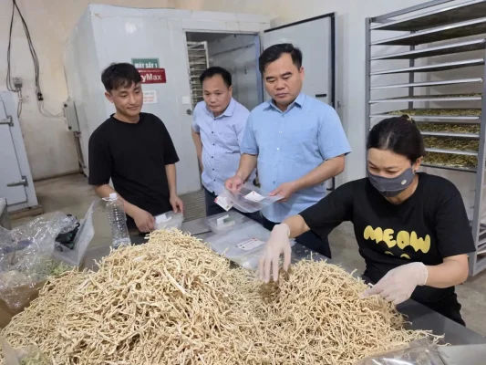 Lợi ích của cà rốt sấy khô 9