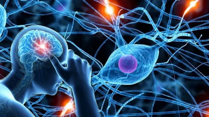 Nông Sản Có Chất Bảo Quản 5
