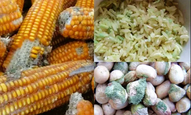 Nông Sản Có Chất Bảo Quản 9