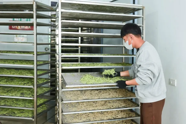 Sấy lạnh giữ vị