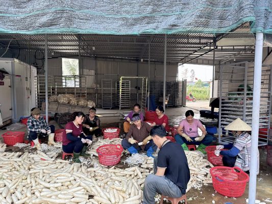 Mô hình sấy nông sản