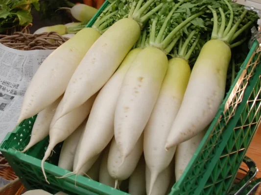 củ cải