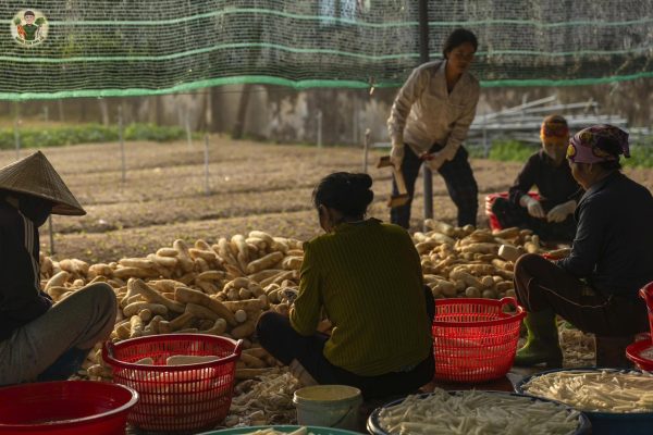 Rau củ sấy có cần ngâm trước khi nấu không