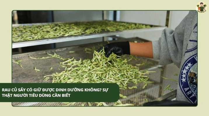 Rau Củ Sấy Có Giữ Được Dinh Dưỡng Không? Sự Thật Người Tiêu Dùng Cần Biết Rau Củ Sấy