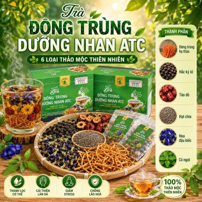 9 Tác Dụng Tuyệt Vời Của Trà Đông Trùng Hạ Thảo & Cách Pha Chuẩn Nhất Trà Đông Trùng Hạ Thảo