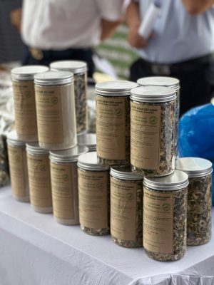 7 Lợi Ích Tuyệt Vời Khi Sử Dụng Nông Sản Sạch: Khoản Đầu Tư Vô Giá Cho Sức Khỏe Cùng Nông Sản Nhà Vũ Lợi Ích