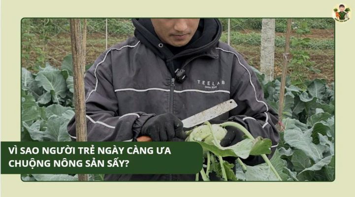 vì sao người trẻ ngày càng ưa chuộng nông sản sấy