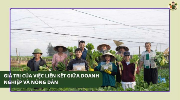 Giá Trị Của Việc Liên Kết Giữa Doanh Nghiệp Và Nông Dân liên kết giữa doanh nghiệp và nông dân