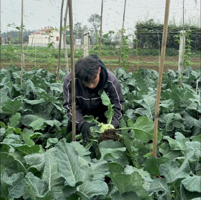 Vũ Văn Giáp – Vất Vả Nhưng Vui Trên Hành Trình Làm Nông Vũ Văn Giáp – Vất Vả Nhưng Vui Trên Hành Trình Làm Nông