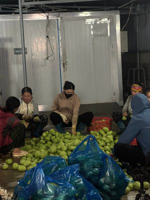 Tăng Ca Làm Đêm Để Kịp Gửi Những Đơn Hàng Đến Khách