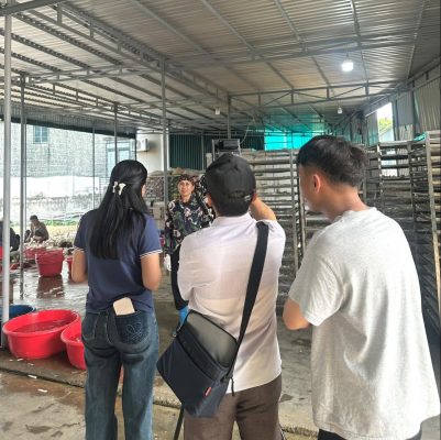 Đài Truyền Hình Nghệ An Thăm Quan Nông Sản Nhà Vũ Đài Truyền Hình Nghệ An Thăm Quan Nông Sản Nhà Vũ