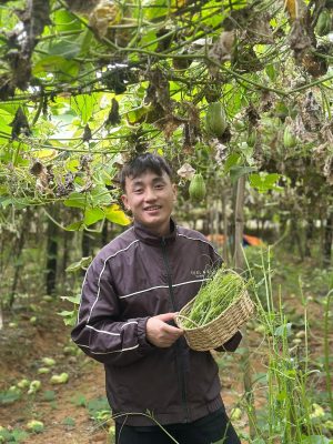 Mùa Hè Đến, Nông Sản Nhà Vũ Lại Thiếu Su Su Và Củ Cải Để Sấy Mùa Hè Đến, Nông Sản Nhà Vũ Lại Thiếu Su Su Và Củ Cải Để Sấy