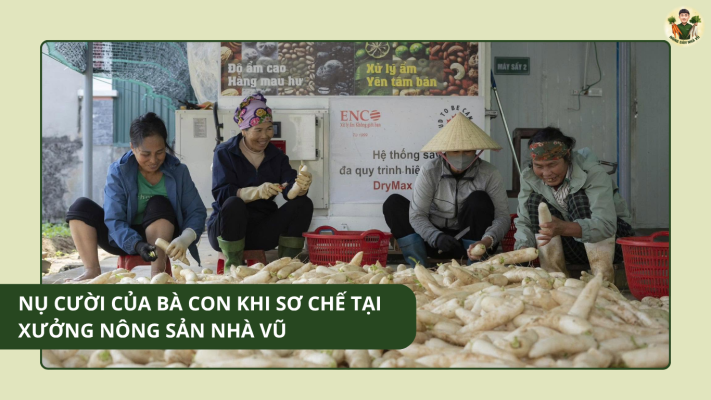Nụ Cười Của Bà Con Khi Sơ Chế Tại Xưởng Nông Sản Nhà Vũ Nụ Cười Của Bà Con Khi Sơ Chế Tại Xưởng Nông Sản Nhà Vũ
