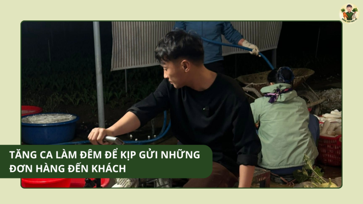 Tăng Ca Làm Đêm Để Kịp Gửi Những Đơn Hàng Đến Khách