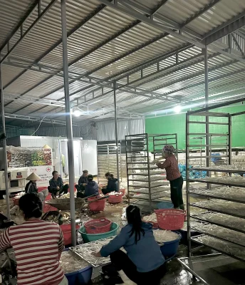 Thực phẩm dự trữ mùa mưa nên có để bữa cơm không thiếu rau Thực phẩm dự trữ 2