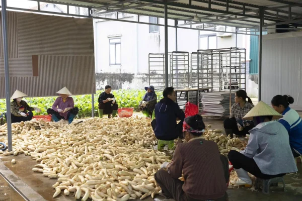 Đi chợ một lần, nấu cả tuần nhờ nông sản sấy tiện lợi 2026 nông sản sấy tiện lợi 1