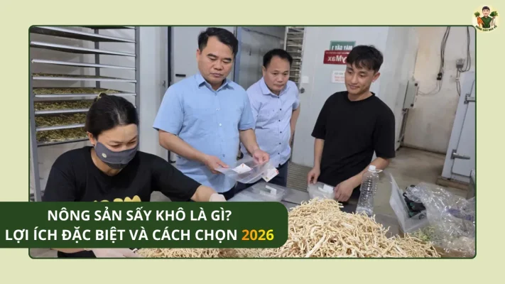 Nông sản sấy khô, lợi ích đặc biệt và cách chọn 2026