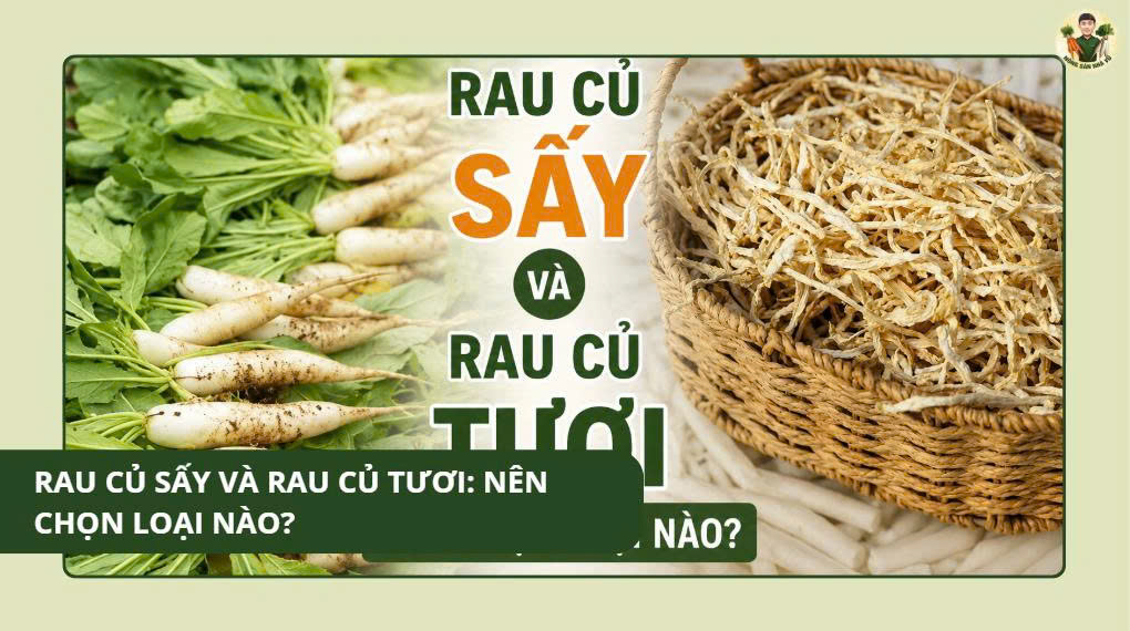 Thu Hoạch Cà Rốt – Vũ Nông Sản