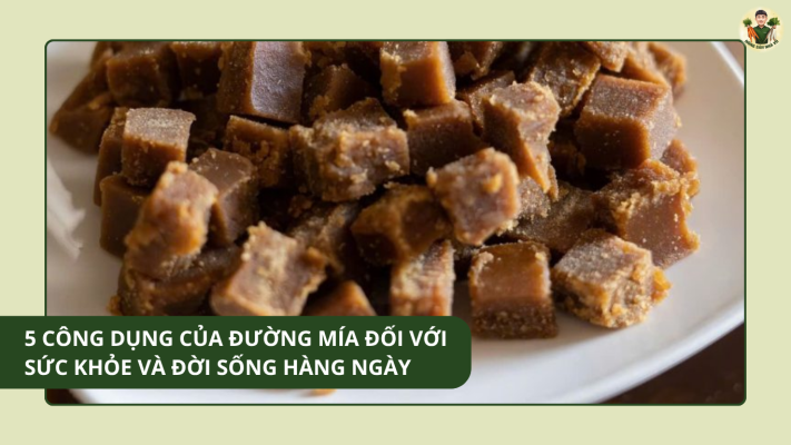 Củ Cải Sấy Lạnh