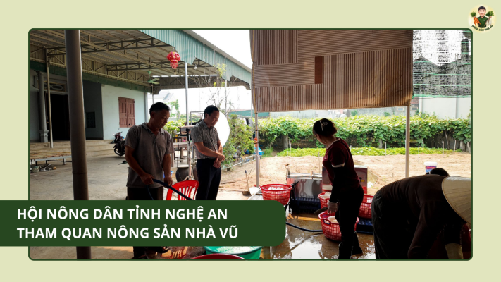 Nông sản nhà vũ