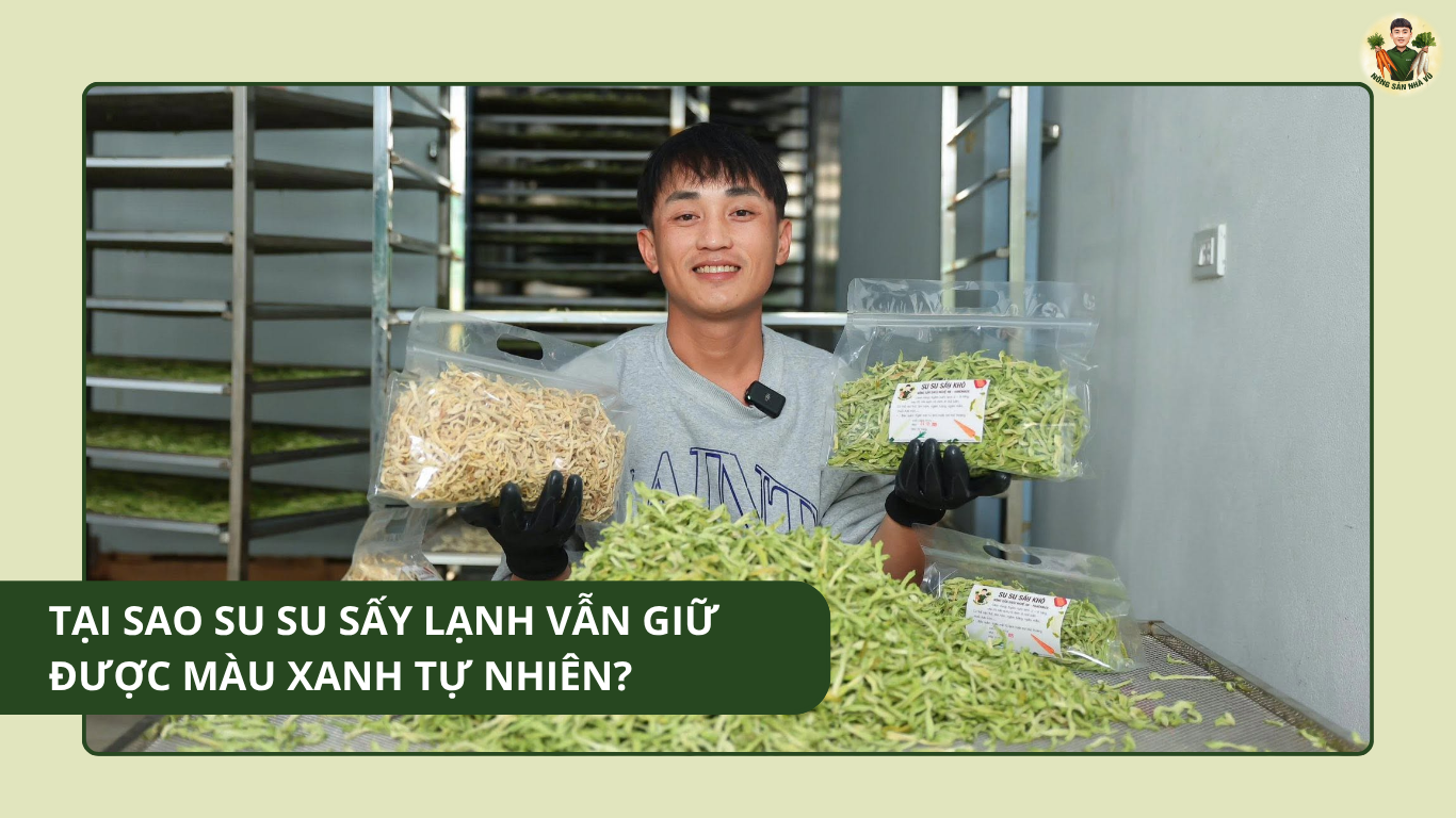 Tại Sao Su Su Sấy Lạnh Vẫn Giữ Được Màu Xanh Tự Nhiên? Tại Sao Su Su Sấy Lạnh Vẫn Giữ Được Màu Xanh Tự Nhiên?