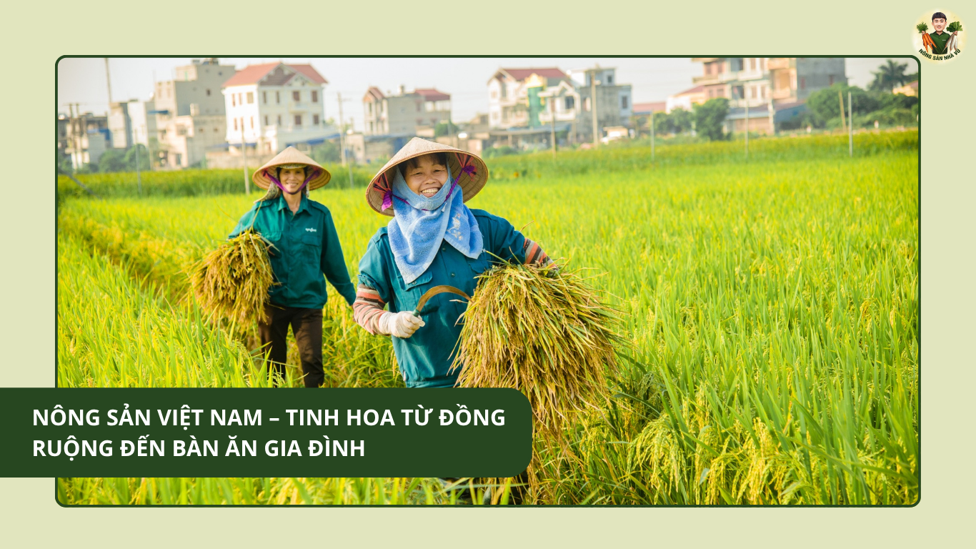 Nông Sản Việt Nam – Tinh Hoa Từ Đồng Ruộng Đến Bàn Ăn Gia Đình liên kết giữa doanh nghiệp và nông dân