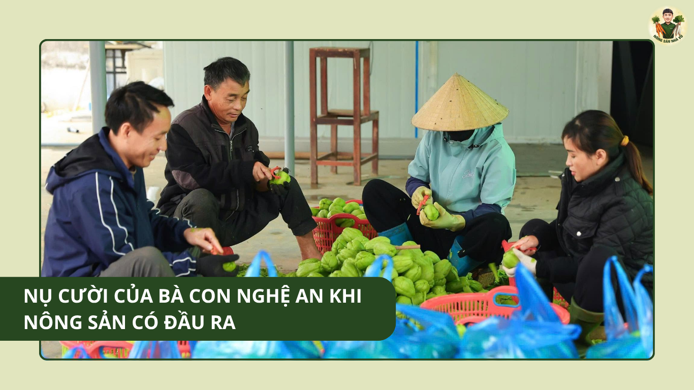 Nụ Cười Của Bà Con Nghệ An Khi Nông Sản Có Đầu Ra Nụ Cười Của Bà Con Nghệ An Khi Nông Sản Có Đầu Ra