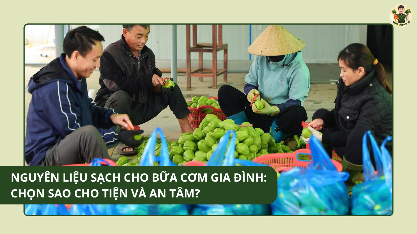 Nguyên Liệu Sạch Cho Bữa Cơm Gia Đình: Chọn Sao Cho Tiện Và An Tâm?