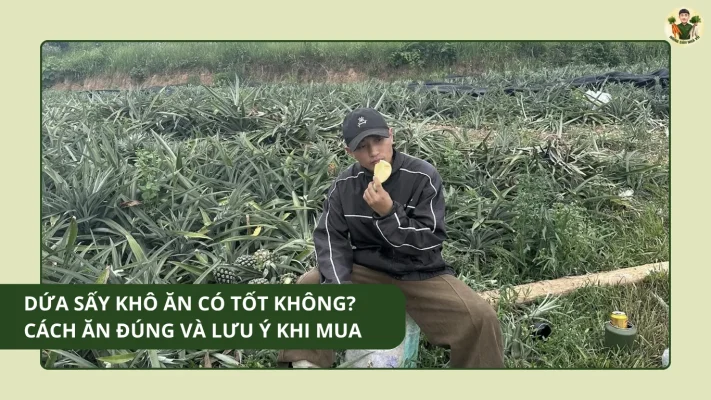 Dứa Sấy Khô Ăn Có Tốt Không Cách Ăn Đúng Và Lưu Ý Khi Mua
