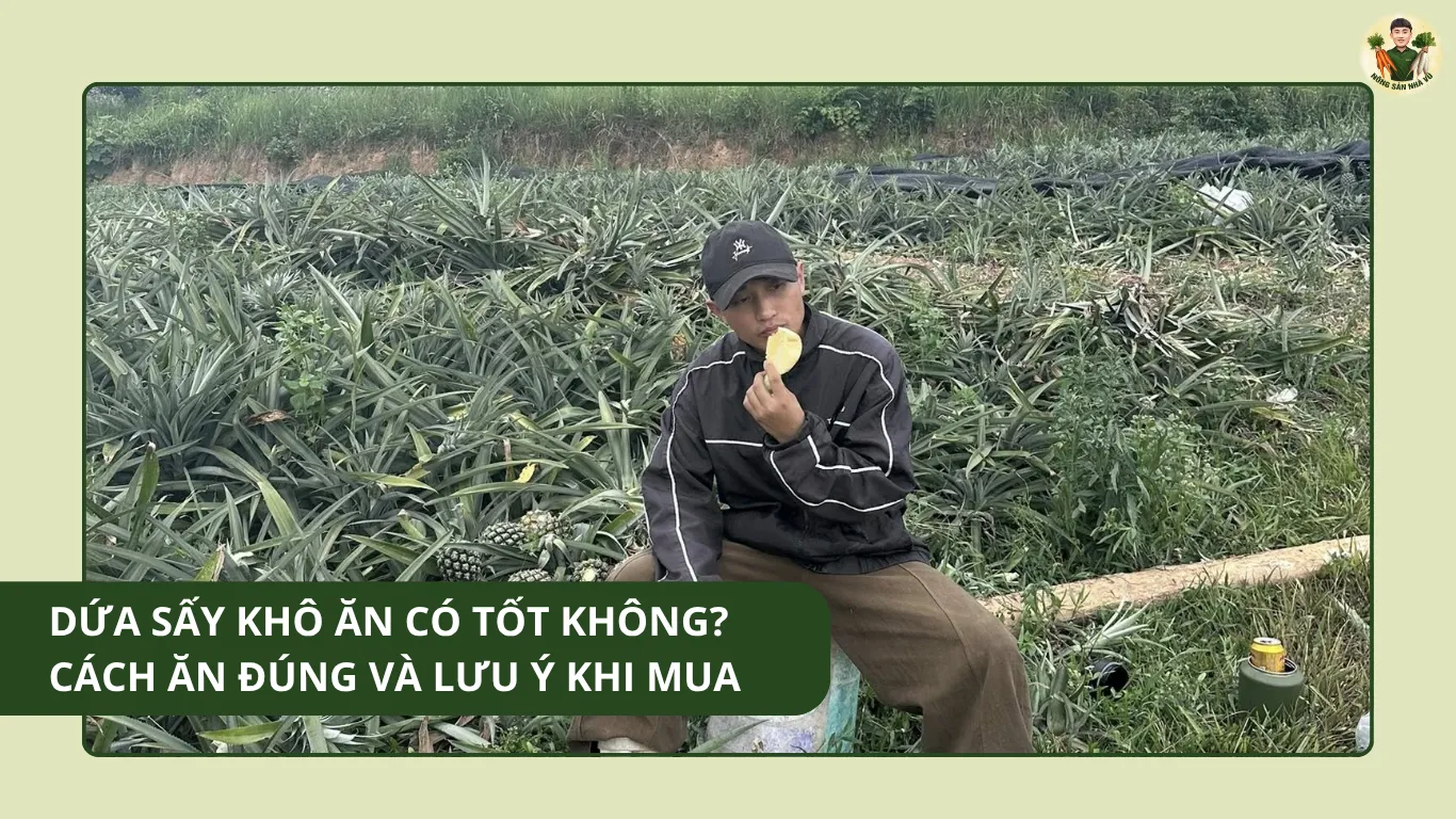 Dứa Sấy Khô Ăn Có Tốt Không? Cách Ăn Và Lưu Ý Khi Mua 2026 Dứa Sấy Khô Ăn Có Tốt Không Cách Ăn Đúng Và Lưu Ý Khi Mua
