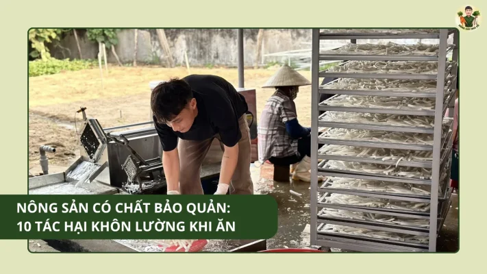 Nông Sản Có Chất Bảo Quản 10 Tác Hại Khôn Lường Khi Ăn