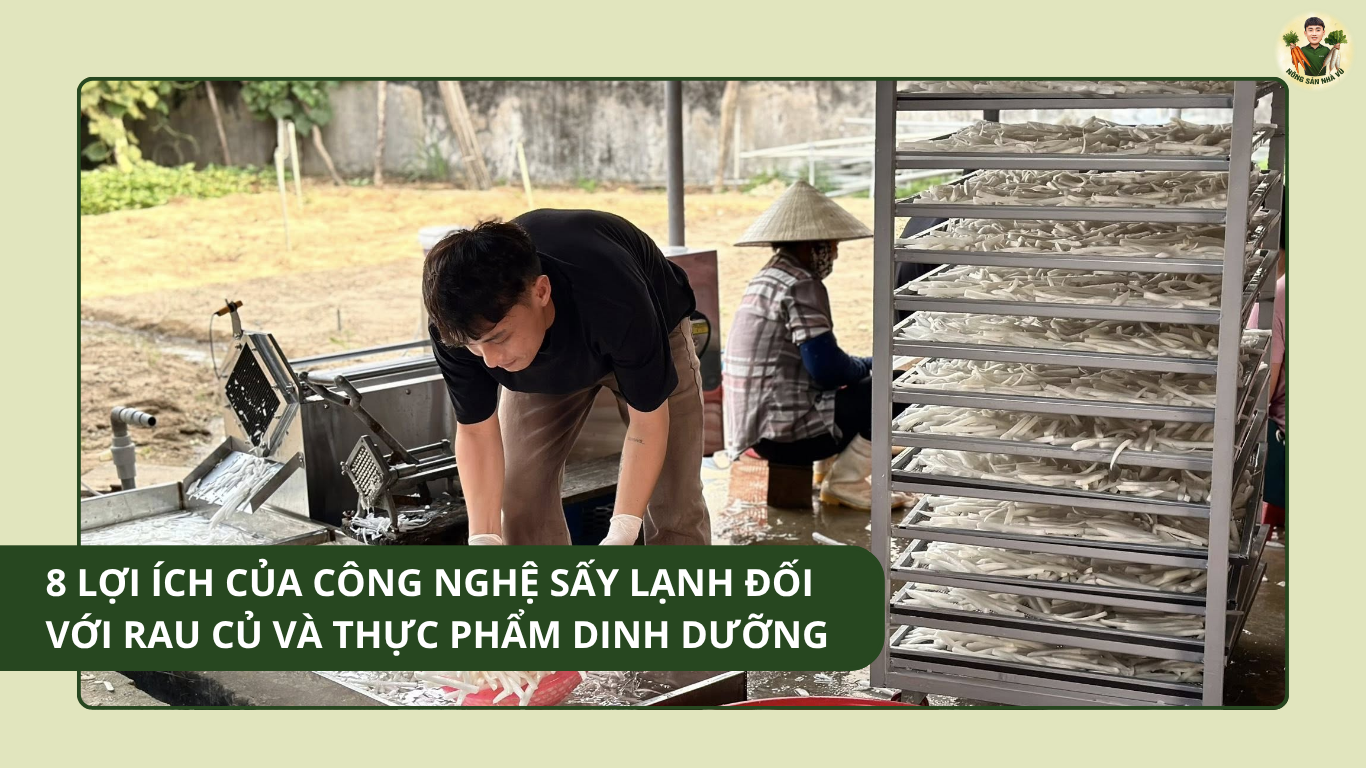 8 Lợi Ích Của Công Nghệ Sấy Lạnh Đối Với Rau Củ Và Thực Phẩm Dinh Dưỡng Công Nghệ Sấy Lạnh