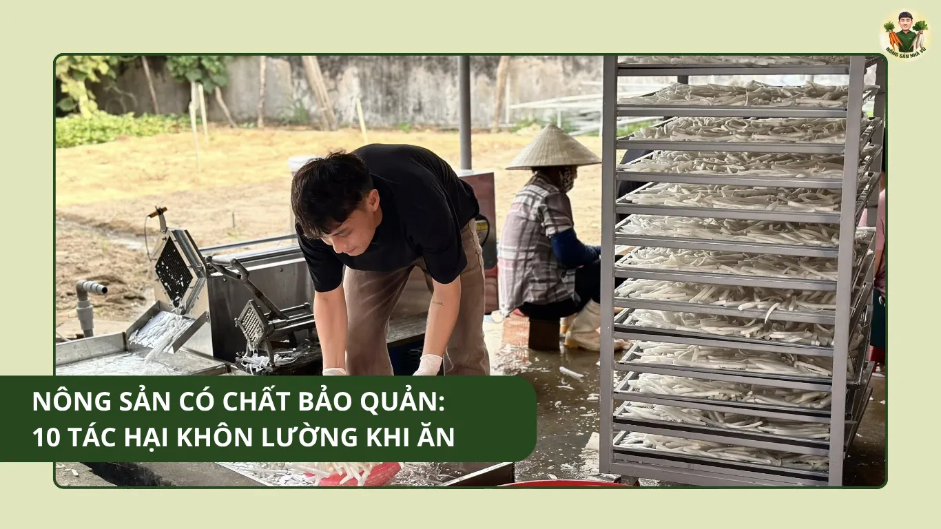Nông Sản Có Chất Bảo Quản: 10 Tác Hại Khôn Lường Khi Ăn Nông Sản Có Chất Bảo Quản 10 Tác Hại Khôn Lường Khi Ăn