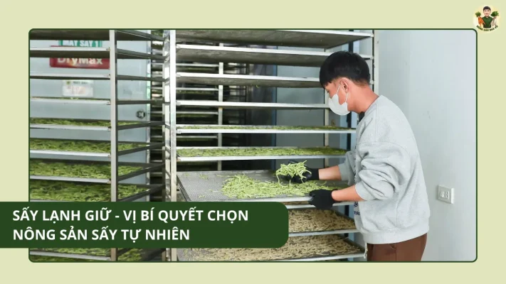 không sử dụng chất bảo quản
