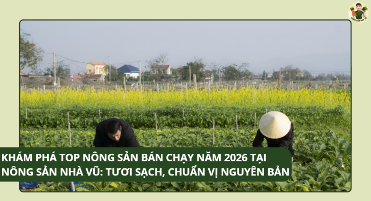 Rau Củ Sấy Không Chất Bảo Quản