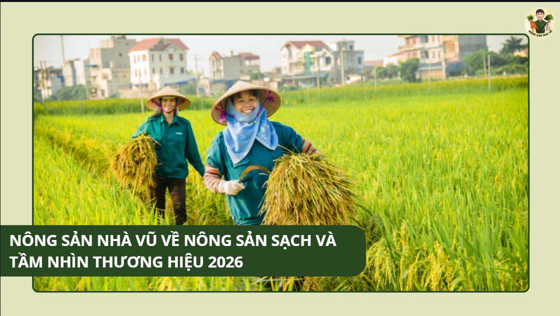 Nông Sản Nhà Vũ về Nông sản sạch và Tầm nhìn thương hiệu 2026 Bí Quyết Bảo Quản