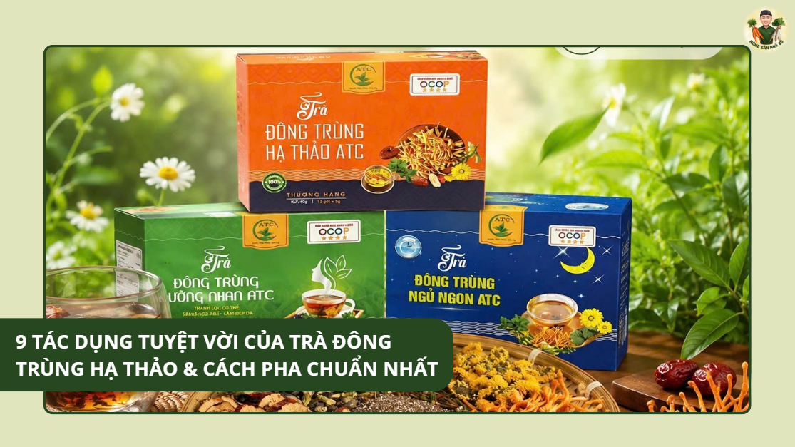 9 Tác Dụng Tuyệt Vời Của Trà Đông Trùng Hạ Thảo & Cách Pha Chuẩn Nhất Lợi Ích