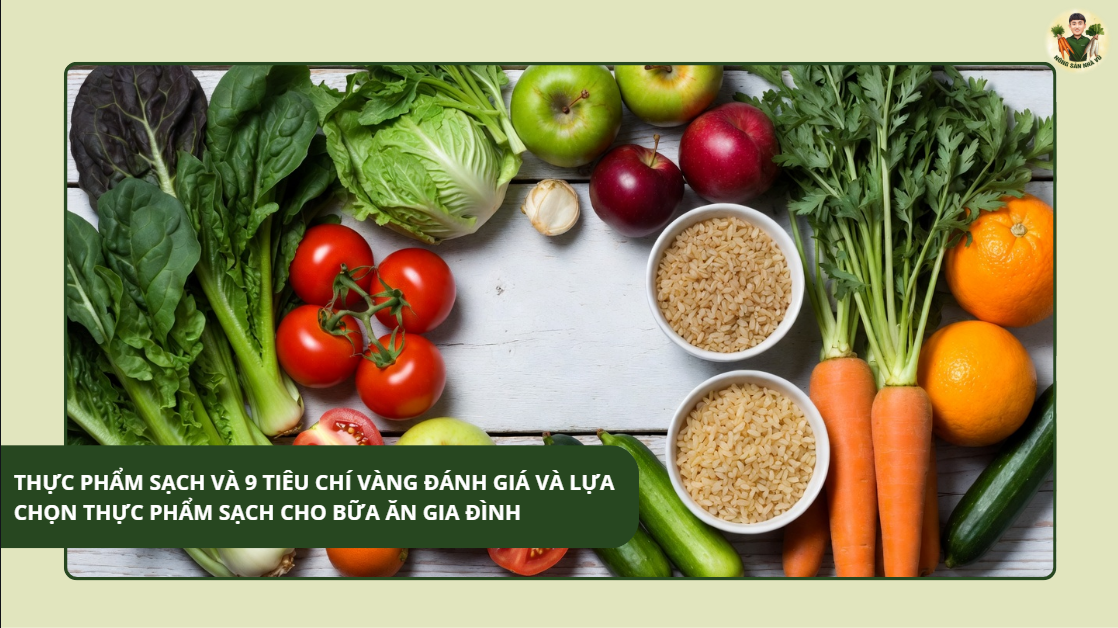 Thực phẩm sạch và 9 Tiêu Chí Vàng Đánh Giá Và Lựa Chọn Thực Phẩm Sạch Cho Bữa Ăn Gia Đình Gạo Lứt Đỏ