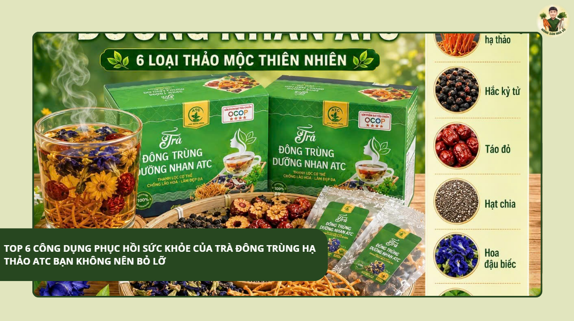 Lợi Ích Trà Đông Trùng Hạ Thảo