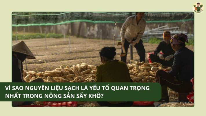 Vì sao nguyên liệu sạch là yếu tố quan trọng nhất trong nông sản sấy khô