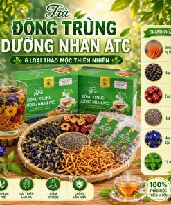 Trà Đông Trùng Hạ Thảo ATC Trà Đông Trùng