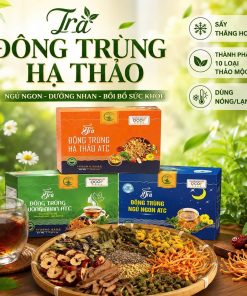 Trà Đông Trùng Hạ Thảo ATC