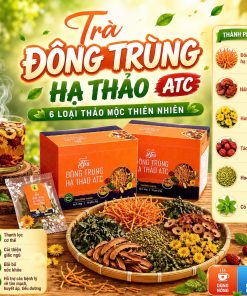 Trà Đông Trùng Hạ Thảo ATC Trà Đông Trùng