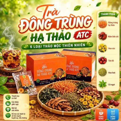 Lợi Ích Trà Đông Trùng Hạ Thảo