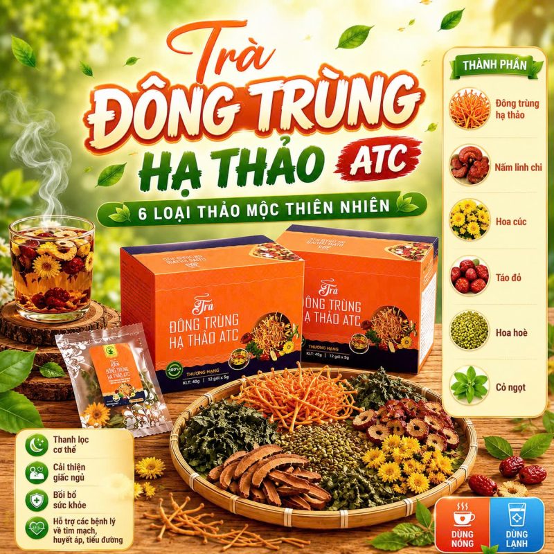 Trà Đông Trùng Hạ Thảo ATC Trà Đông Trùng Hạ Thảo ATC